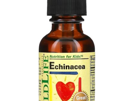 ChildLife Essentials, Echinacea, Natural Orange, 1 fl oz Cheap