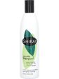 ShiKai, Everyday Shampoo, 12 fl oz Hot on Sale